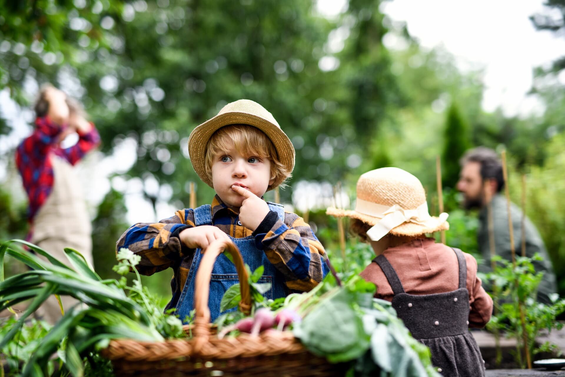 Ridurre lo stress con il giardinaggio