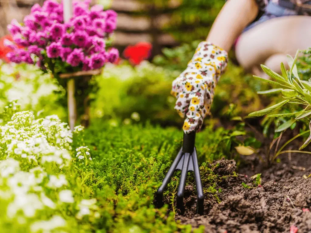 Consigli di primavera per balcone e giardino
