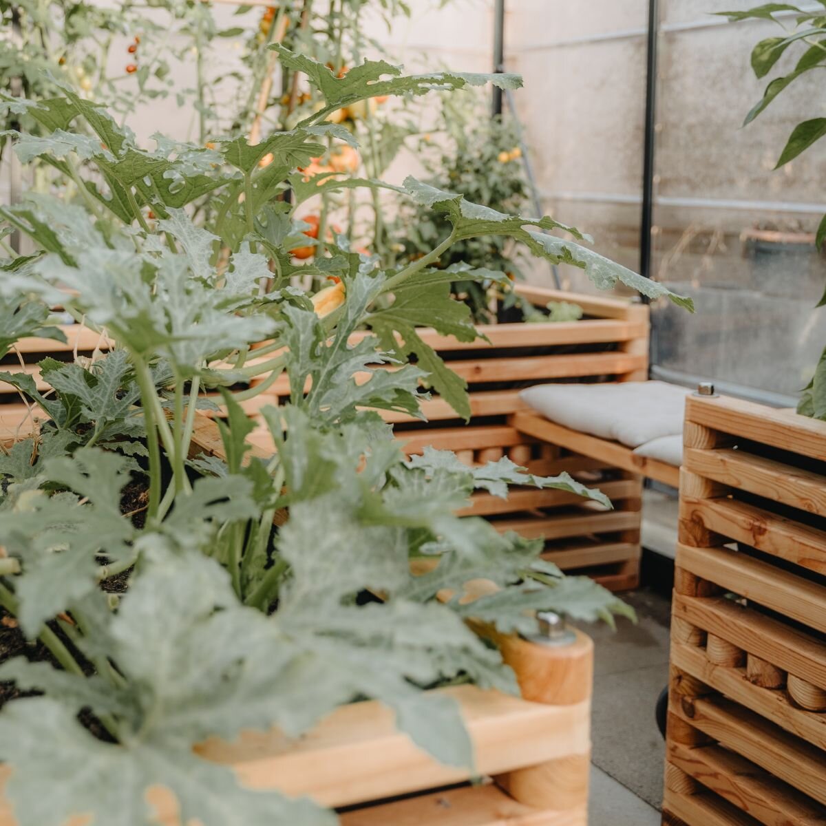 orti rialzati che si adattano perfettamente alla serra