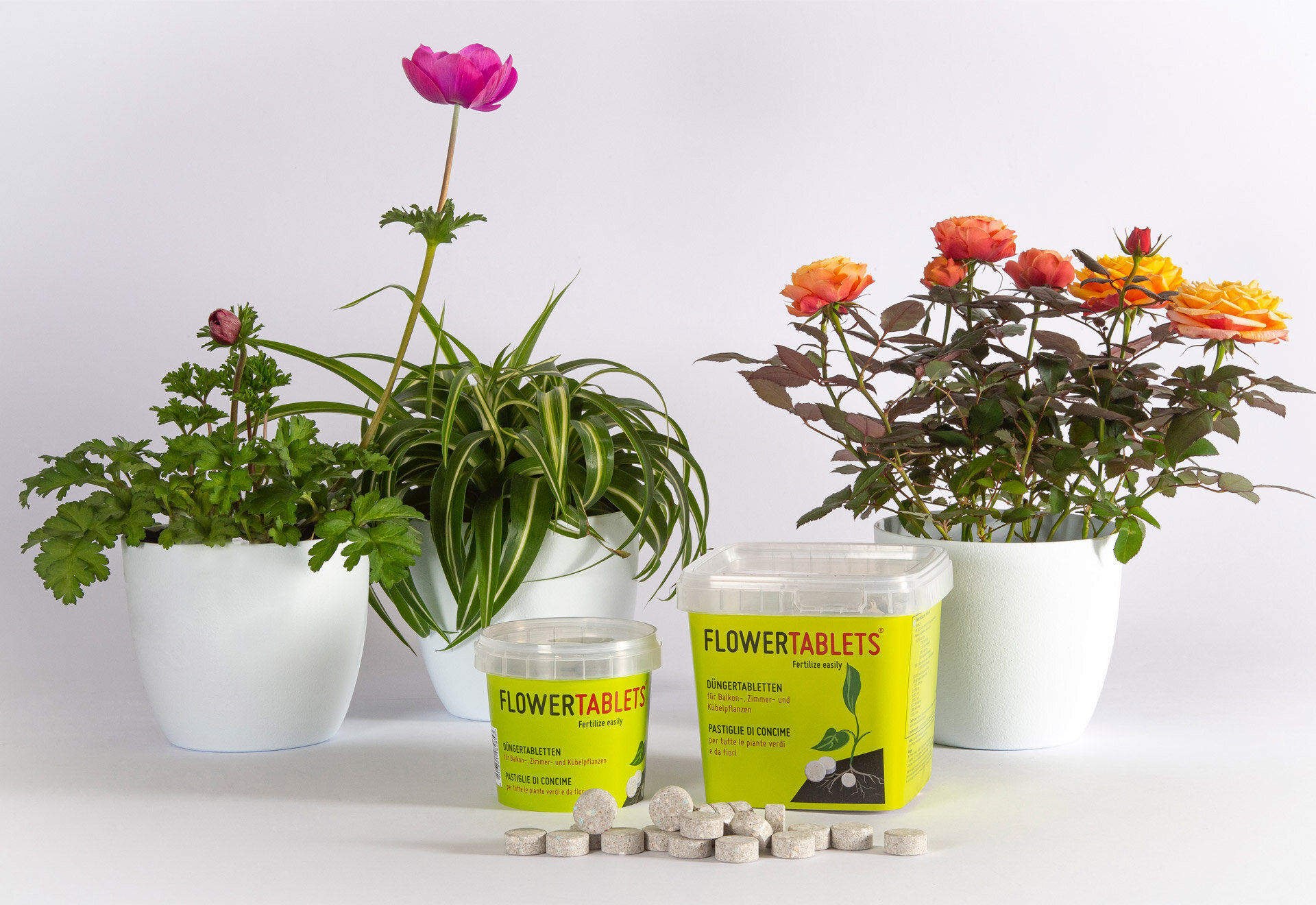 duengertabletten-fuer-pflanzen-perfekte-naehrstoffe