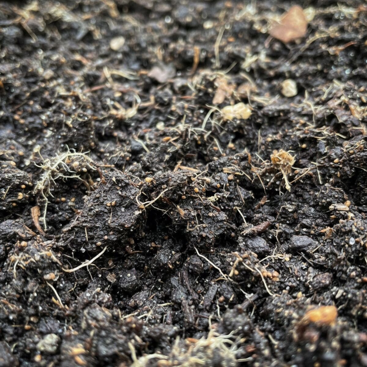 immagine-simbolica-della-vita-del-suolo-grazie-ai-microrganismi