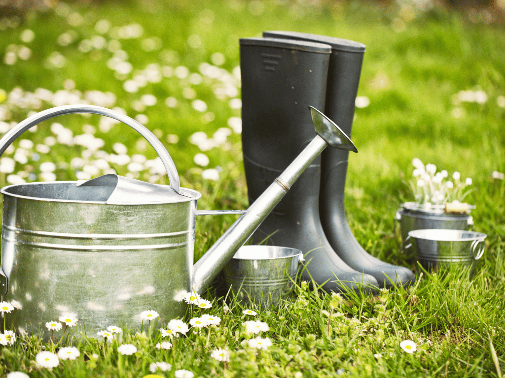 Bewässerung Garten