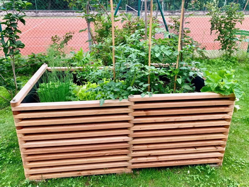 Mischkultur und Pflanzenfolge im Hochbeet