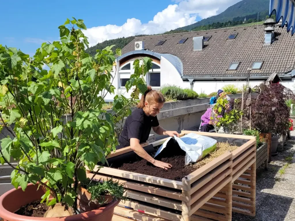 Riempire l'aiuola rialzata da balcone