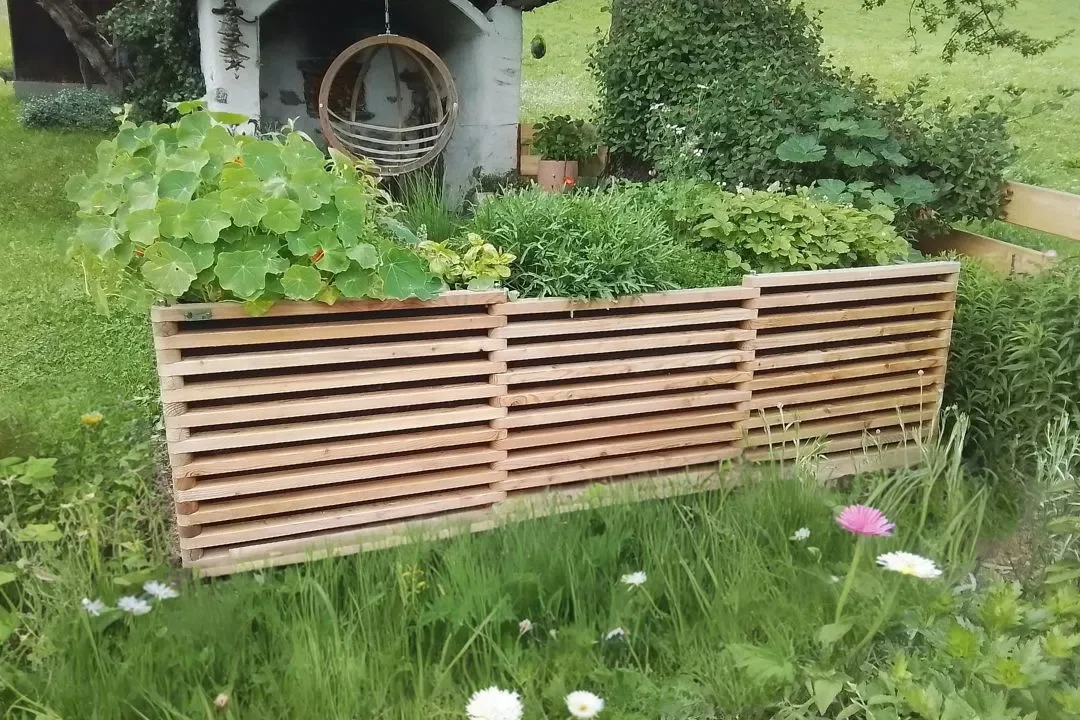 Mischkultur im Hochbeet