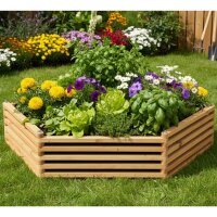 „Franz Josef“ Beet – großes...