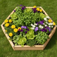 „Franz Josef“ Beet – großes sechseckiges Garten-Hochbeet