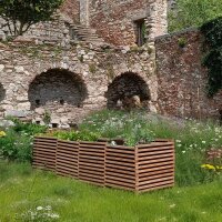 „Maximilian“ Beet – extra großes...