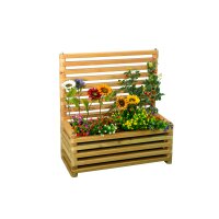 «Augustus» – fioriera larga con...