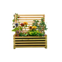 „Augustus“ Beet – breites Balkon-Hochbeet mit Rankgitter