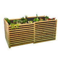 „Maximilian“ Beet – klassisches...