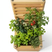 „Augustus“ Beet – Pflanzkübel mit Rankgitter für den Balkon