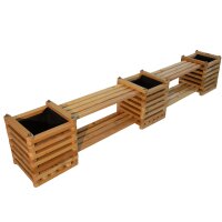 &bdquo;Antonius&ldquo; Beet &ndash; 3 Pflanzk&uuml;bel...