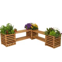 &bdquo;Antonius&ldquo; Beet &ndash; 3 Pflanzk&uuml;bel...