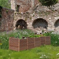 „Maximilian 4XL“ Beet – großes,...