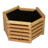 „Franz Josef“ Beet – kleines...